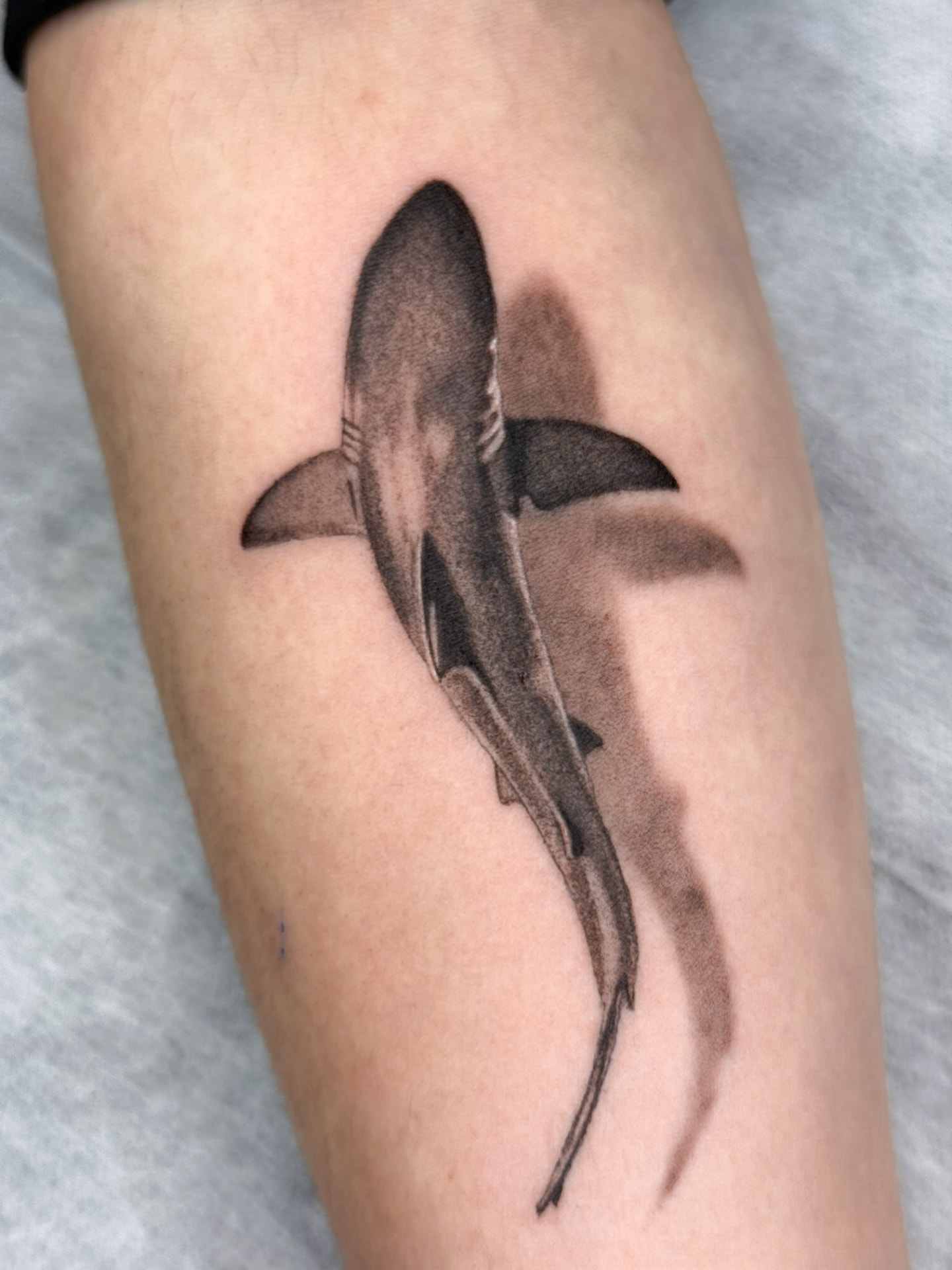 Shark — Realism · Black & Grey tattoo by Ana at Blasian Ink