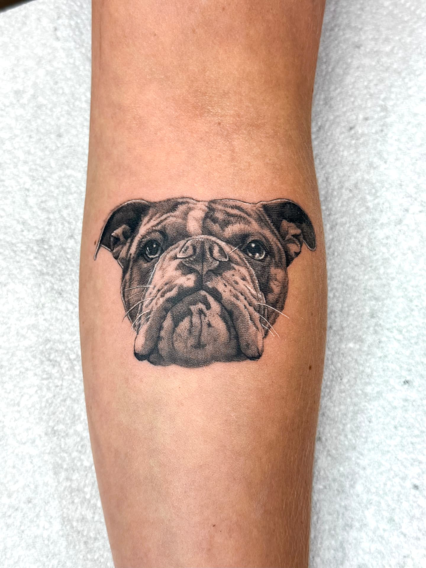 Sully — Pet Portrait · Realism tattoo by Ana at Blasian Ink